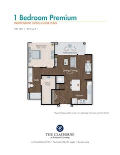 1 Bedroom Premium floorplan image