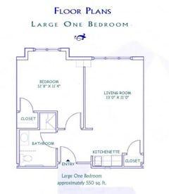 Large One Bedroom floorplan image