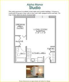 The Alpha Studio floorplan image