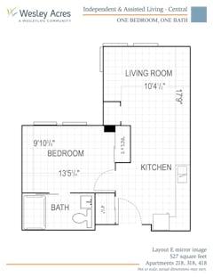 The Central 1BR 1B  527 sq  ft floorplan image
